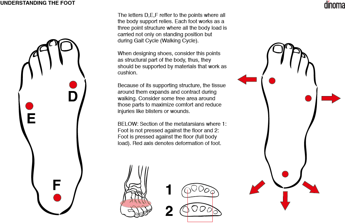 PALEO Ergonomia Training on ergonomy for the development of shoes. Paleo Colombia.
